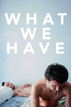 What We Have (2014)