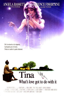 What's Love Got to Do with It (1993)