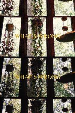 What's Wrong (2023)