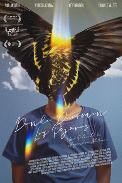 Where Birds Dream (2022)