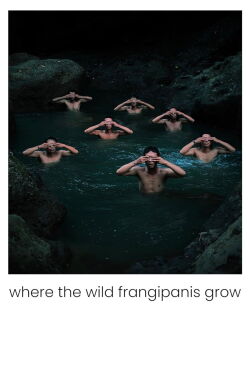 Where the Wild Frangipanis Grow (2023)