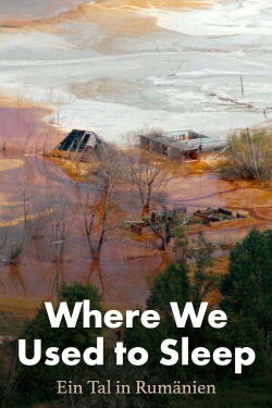 Where We Used to Sleep (2024)