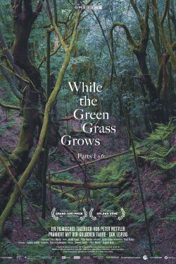While the Green Grass Grows (2025)