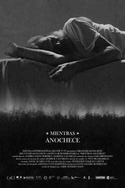 While The Night Falls (2023)
