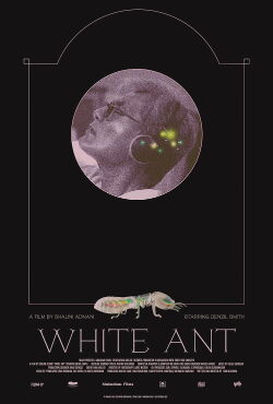 White Ant (2023)