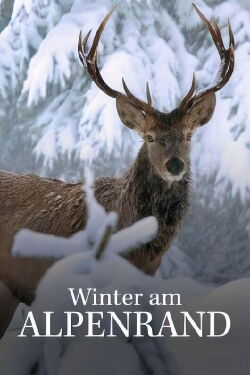 White Winter (2022)