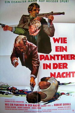 Wie ein Panther in der Nacht (1973)
