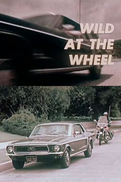 Wild at the Wheel (1973)