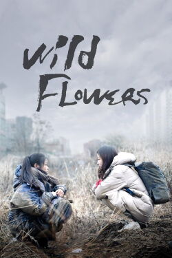 Wild flowers (2014)