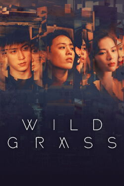 Wild Grass (2020)