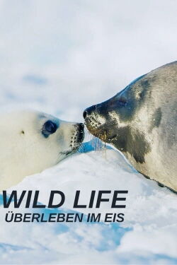 Wild_Life: Überleben im Eis (2020)