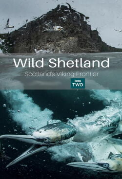 Wild Shetland: Scotland's Viking Frontier (2019)