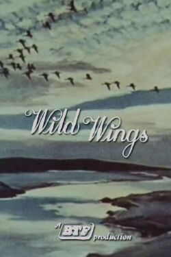Wild Wings (1966)