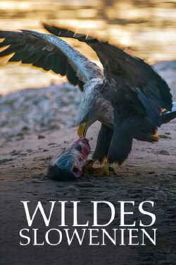 Wildes Slowenien (2021)