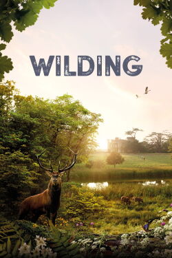 Wilding, Retour à la Nature Sauvage (2024)