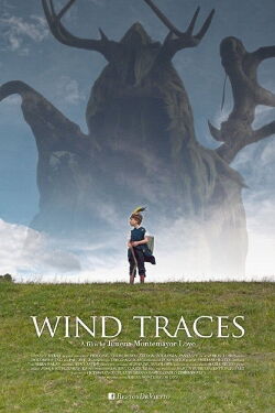 Wind Traces (2019)