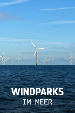 Windparks im Meer - Chance oder Risiko für die Natur? (2024)