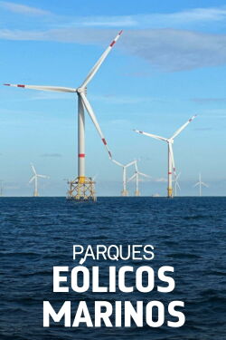 Windparks im Meer - Chance oder Risiko für die Natur? (2024)
