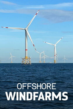 Windparks im Meer - Chance oder Risiko für die Natur? (2024)