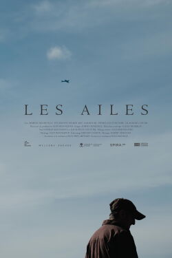 Wings (2025)