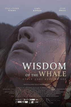 Wisdom of the Whale (2024)