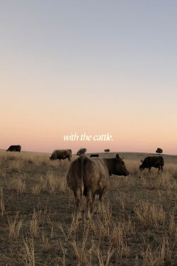 With the Cattle (2021)