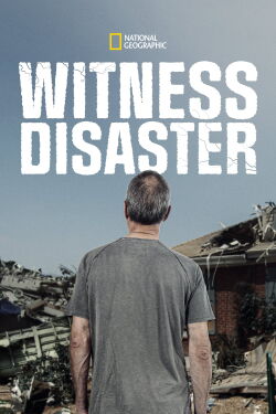 Witness Disaster (2011)