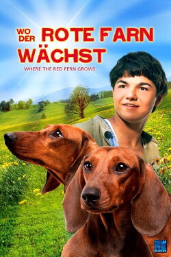 Wo der rote Farn wächst (2003)