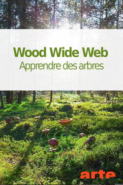 Wood Wide Web - Learning from Trees (2021)