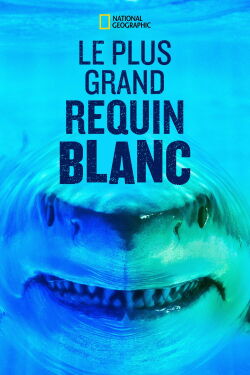 World's Biggest Great White? Expedition Hawaii (2019)