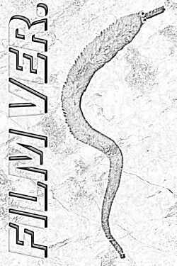 WORM FILM. (2024)