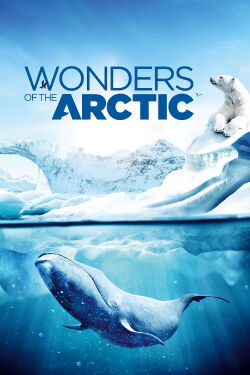 Wunder der Arktis (2014)