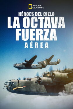 WW2 Heroes of the Sky (2020)