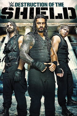 WWE: The Destruction Of The Shield (2015)