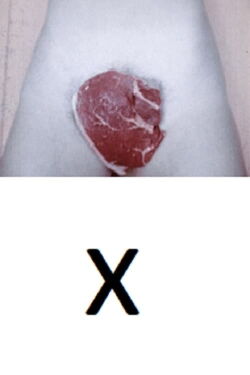 “X” (1973)