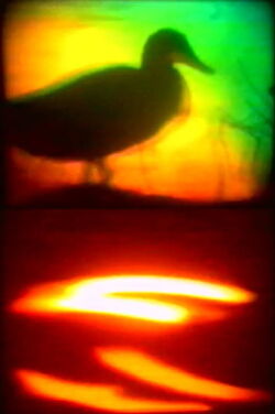 YA PRIVATE SKY (2001)