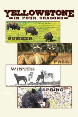 Yellowstone in Four Seasons (2017)