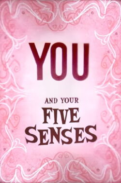 You and Your Five Senses (1955)