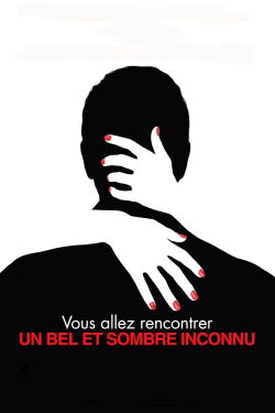You Will Meet a Tall Dark Stranger (2010)