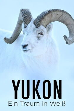 Yukon - Ein Traum in Weiß (2022)