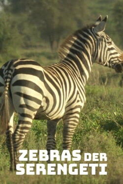 Zebras der Serengeti (2022)