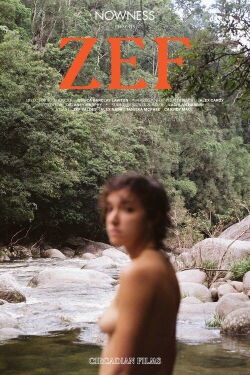 ZEF (2020)