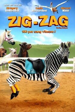 Zig Zag, l'étalon zébré (2005)