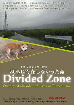 Zone (2014)