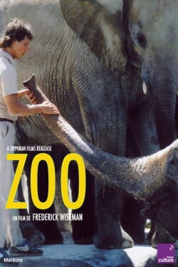 Zoo (1993)