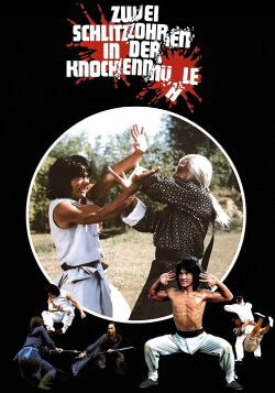 Zwei Schlitzohren in der Knochenmühle (1979)