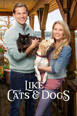 Zwei wie Hund und Katz' (2017)