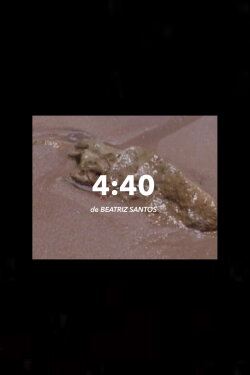 04:30 AM (2019)