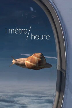 1 meter/hour (2018)