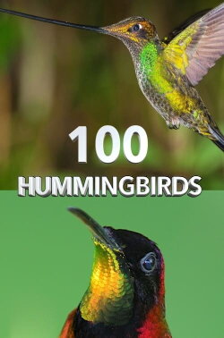 100 Hummingbirds (2021)
